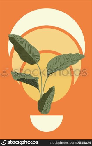 Tropical plant calathea leaves green leaves with abstract geometric shapes illustration.