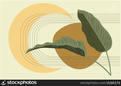 Tropical plant calathea leaves green leaves with abstract geometric shapes illustration.
