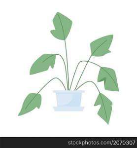 Tropical plant for interior decor semi flat color vector item. Realistic object on white. Big potted plant for home isolated modern cartoon style illustration for graphic design and animation. Tropical plant for interior decor semi flat color vector item