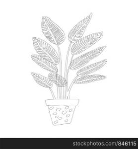 Tropical plant pot in black outline on white background. Postcard, banner, app design. . Tropical plant pot in black outline on white background
