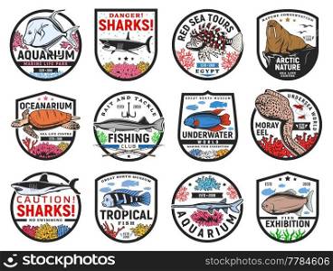 Tropical sea fishes and ocean animals icons. Oceanarium aquarium, fishing club and sharks danger warning, travel tours, nature museum emblem or badge. Turtle, moray eel and lionfish, walrus vector. Tropical sea fishes and ocean animals icons set