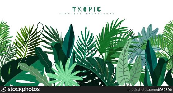 Tropical seamless border, monstera palm philodendron leaves, hand drawn vector illustration