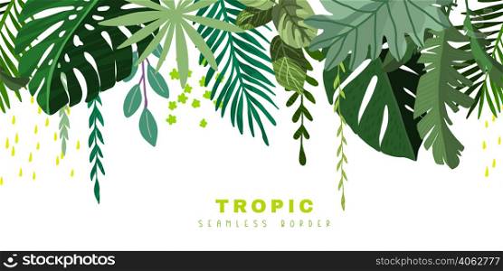 Tropical seamless border with monstera leaves, hand drawn vector illustration