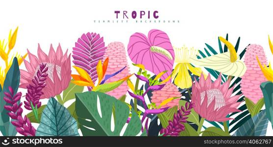 Tropical seamless border with pink tropical flowers including ginger and protea, hand drawn vector illustration