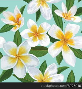 Tropical seamless pattern with plumeria flowers vector image
