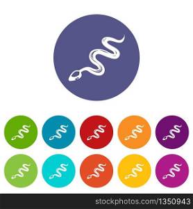 Tropical snake icons color set vector for any web design on white background. Tropical snake icons set vector color