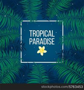 Tropical summer night under sky full of stars and palm leaves background template vector illustration.. Tropical starry night paradise background template