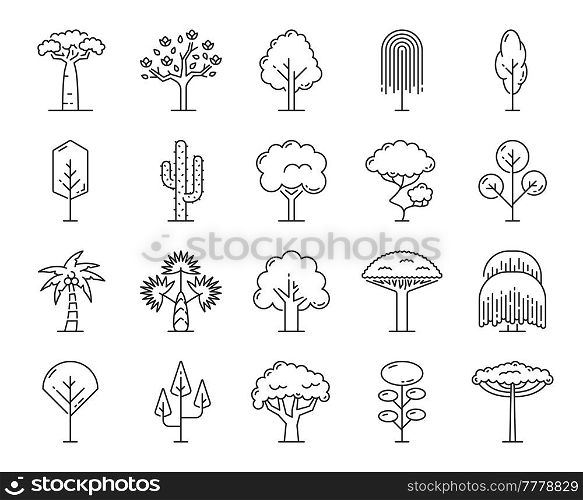 Tropical trees, outline icons of isolated beach, jungle forest and park trees, vector thin line symbols. Garden and forest tree plants of palm, baobab and cactus, maple, oak and birch tree with leaves. Tropical trees outline icons, beach, jungle forest