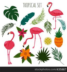 Tropical vectoro set with pink flamingos, palm leaves and flowers. Jungle leaves and pineapple, palm exotic green, vector illustration. Tropical vectoro set with pink flamingos, palm leaves and flowers