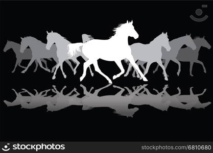 Trotting white and grey horses silhouette on black background vector illustration