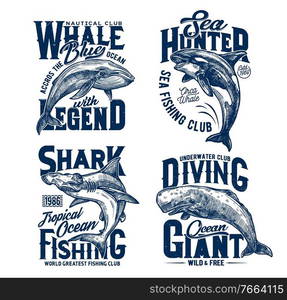 Tshirt prints with hummer head shark, killer and blue whales, vector mascots for fishing, diving or marine club. Sea predator animals, ocean adventure team prints with typography on white background. Tshirt prints with shark, killer and blue whales