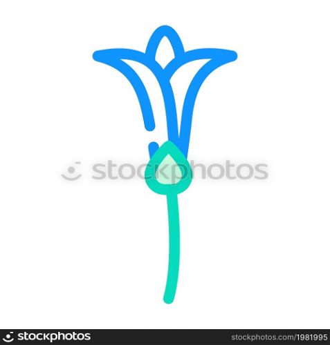 tuberose nature flower color icon vector. tuberose nature flower sign. isolated symbol illustration. tuberose nature flower color icon vector illustration