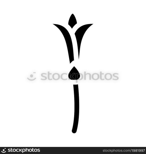tuberose nature flower glyph icon vector. tuberose nature flower sign. isolated contour symbol black illustration. tuberose nature flower glyph icon vector illustration