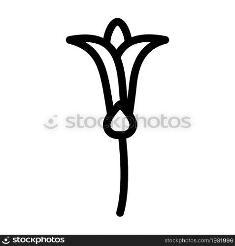 tuberose nature flower line icon vector. tuberose nature flower sign. isolated contour symbol black illustration. tuberose nature flower line icon vector illustration