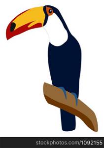 Tucan bird, illustration, vector on white background.