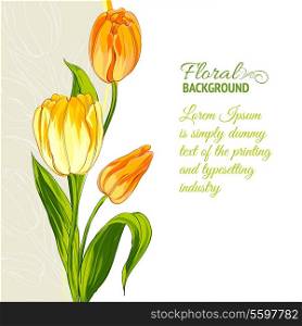 Tulip bouquet isolated over white. Vector illustration.