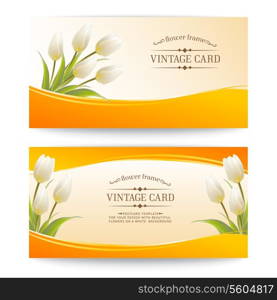 Tulip, floral background for your card. Vector illustration.
