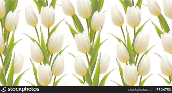Tulip, floral background, seamless pattern. Vector illustration.