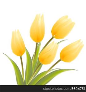 Tulip, floral background. Vector illustration.