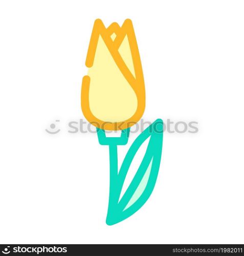 tulip flower color icon vector. tulip flower sign. isolated symbol illustration. tulip flower color icon vector illustration