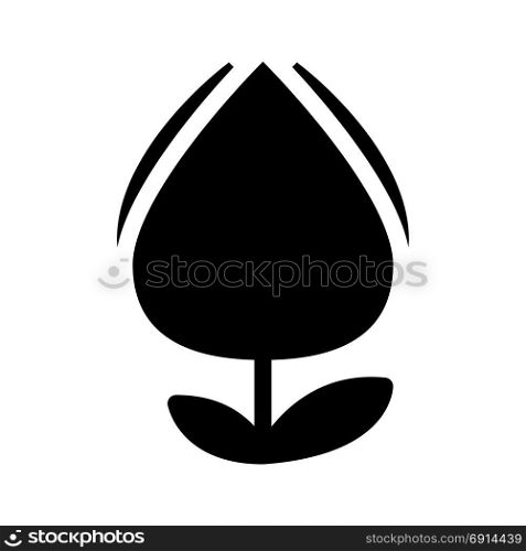 tulip flower, icon on isolated background