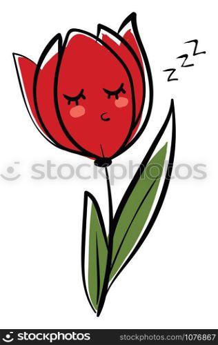Tulip flower, illustration, vector on white background.