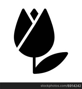 tulip, icon on isolated background