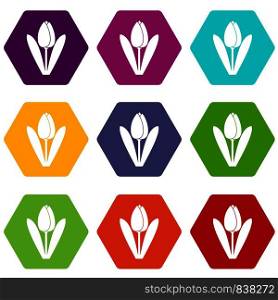 Tulip icon set many color hexahedron isolated on white vector illustration. Tulip icon set color hexahedron