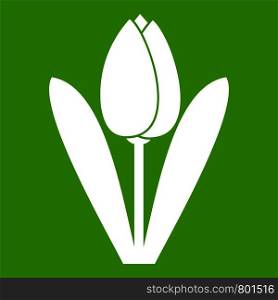 Tulip icon white isolated on green background. Vector illustration. Tulip icon green