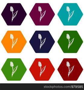 Tulip icons 9 set coloful isolated on white for web. Tulip icons set 9 vector