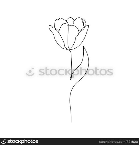 Tulip on white background. One line drawing style.