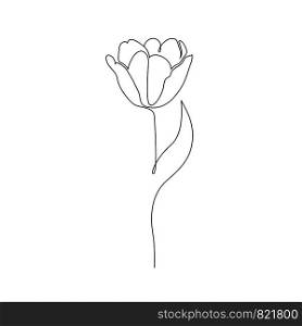 Tulip on white background. One line drawing style.