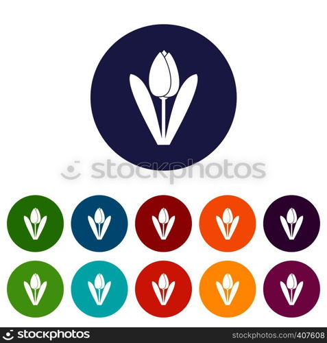 Tulip set icons in different colors isolated on white background. Tulip set icons