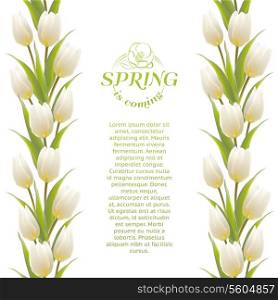 Tulip spring flowers bouquet for your card design. Vector illustration.