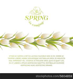 Tulip spring flowers bouquet for your card . Vector illustration.