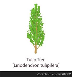 Tulip tree icon. Flat illustration of tulip tree vector icon for web. Tulip tree icon, flat style