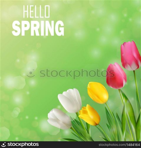 Tulips flowers with bokeh background.Vector