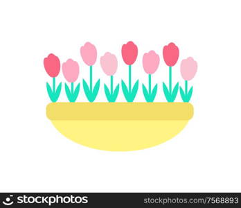 Tulips grown in clay pot vector isolated icon. Spring pink and red color flowers with green stems and leaves, growing in ground or sand, springtime decorative elements. Tulips Grown in Clay Pot Vector Spring Flowers