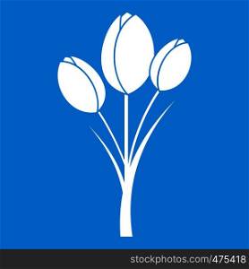 Tulips icon white isolated on blue background vector illustration. Tulips icon white