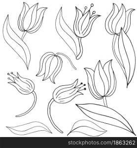 Tulips. Monochrome spring flowers in hand draw style. Cute floral elements for your design. Floral illustration in hand draw style