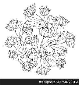Tulips spring flower, isolated on a white background