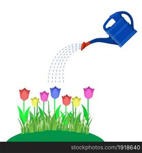 tulips with watering can and water drops, Isolated On White. Vector illustration in flat style. Young plant with watering can