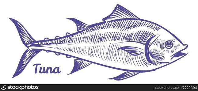 Tuna fish in sketch style. Sea animal icon isolated on white background. Tuna fish in sketch style. Sea animal icon