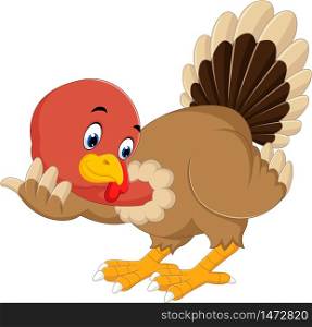 turkey bird cartoon