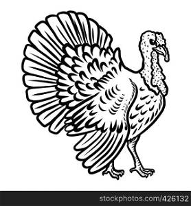 Turkey cock icon. Hand drawn illustration of turkey cock vector icon for web design. Turkey cock icon, hand drawn style