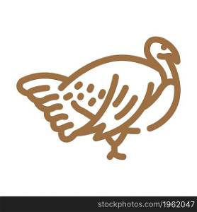 turkey farmland bird color icon vector. turkey farmland bird sign. isolated symbol illustration. turkey farmland bird color icon vector illustration