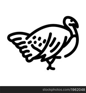 turkey farmland bird line icon vector. turkey farmland bird sign. isolated contour symbol black illustration. turkey farmland bird line icon vector illustration