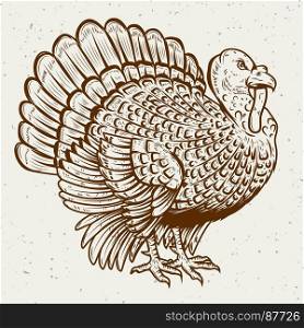 Turkey illustration on white background. Thanksgiving theme. Design element for poster, greeting card, banner. Vector illustration