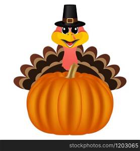 Turkey in Peligrin hat on Thanksgiving Day looks out from behind a pumpkin. Symbols Thanksgiving holiday, vector illustration. Turkey in Peligrin hat on Thanksgiving Day looks out from behind