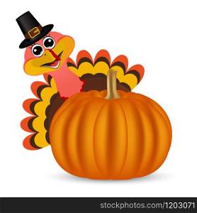 Turkey on Thanksgiving Day looks out from behind a pumpkin. Symbols Thanksgiving holiday, vector illustration. Turkey on Thanksgiving Day looks out from behind a pumpkin